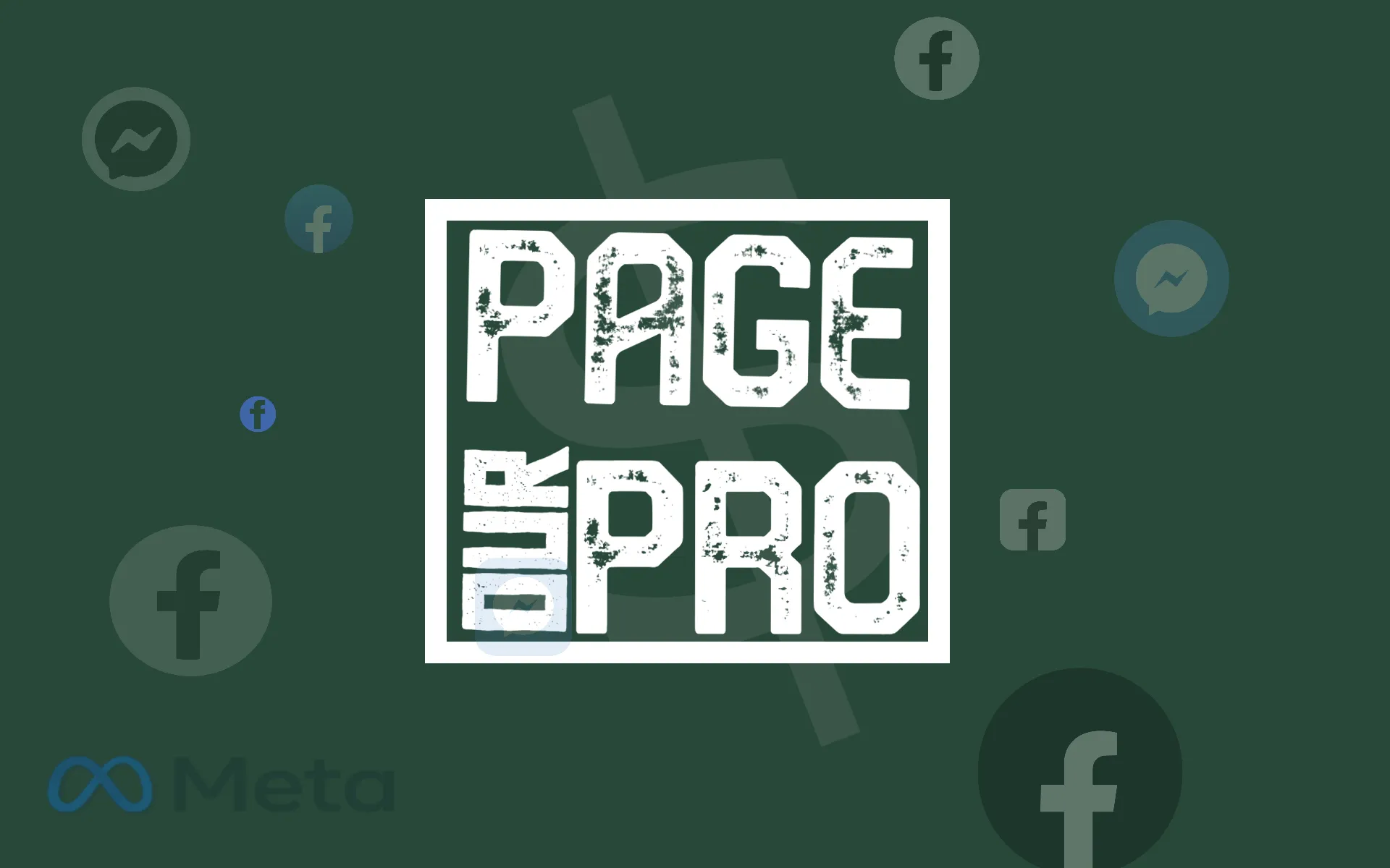 PAGE OUR PRO