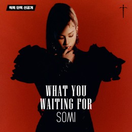 What You Waiting For Lyrics - SOMI | A1lyrics 4u