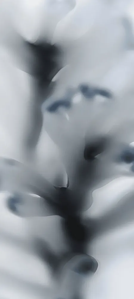 Nothing Phone 2 Walllpaper 02