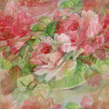 Visualizza album