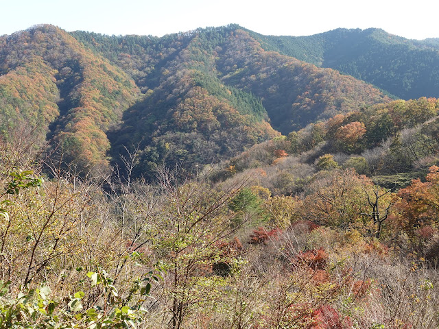 船上山の大山環状道路の眺望