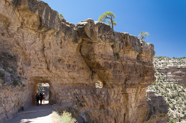 Bright Angel Trail, Grand Canyon National Park