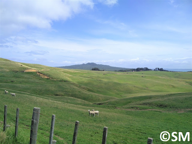 Photo sur les chemins de Motutapu Auckland Nouvelle-Zélande 