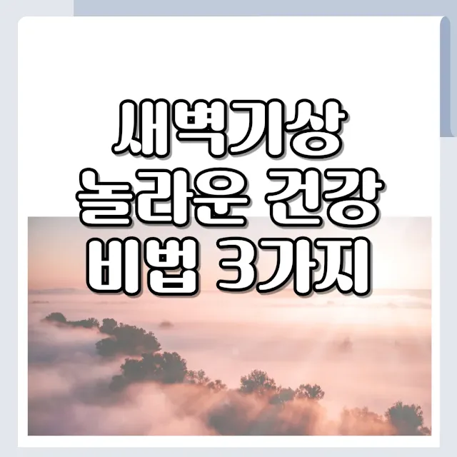 새벽기상 놀라운 건강 비법 텍스트와 이미지