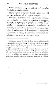 Αριστολοχία η αειθαλής-Aristolochia sempervirens