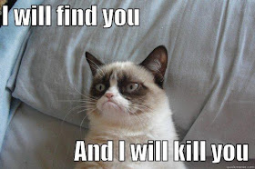 grumpy cat - I will find you and I will kill you meme