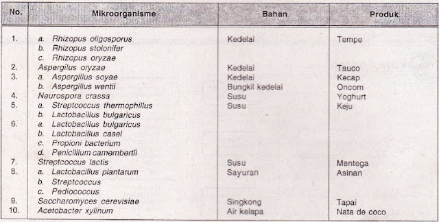 Bioteknologi