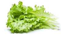 Lettuce amazing benefits for health