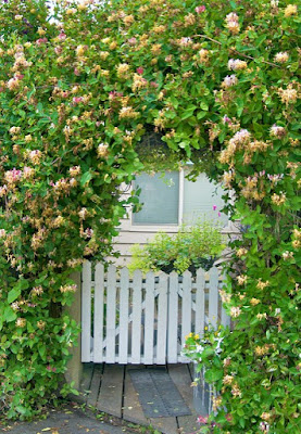 Honeysuckle decorative arch, bower for a Shakespeare garden