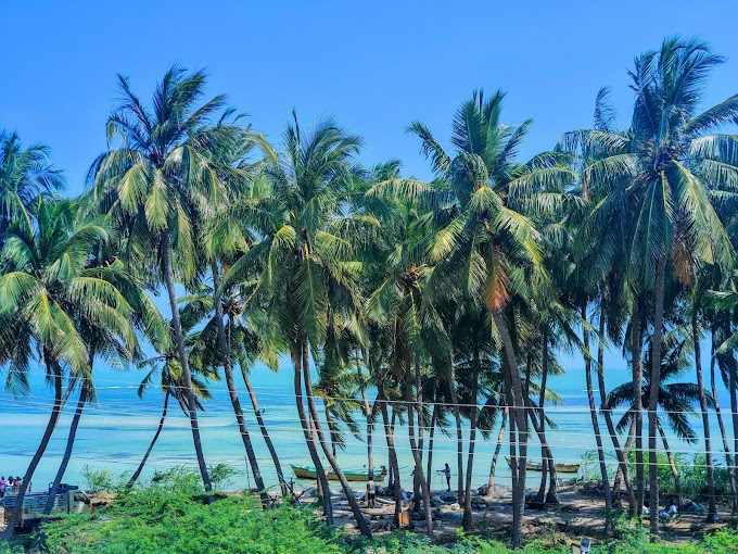 Stunning Landscapes of the Rameswaram Islands