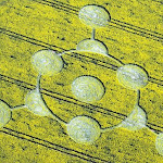 gambar crop circle, foto crop circle, alien, ufo, lingkaran tanaman, www.digaleri.com