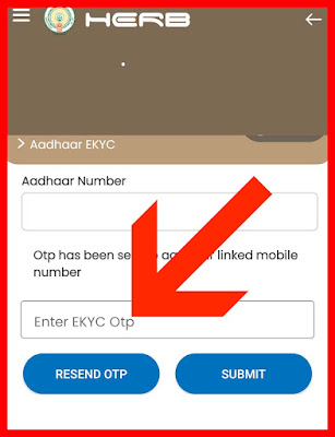 HOW TO Link Pensioner AADHAR Number with CFMS ID - Pensioner Aadhar E KYC Process in Herb App