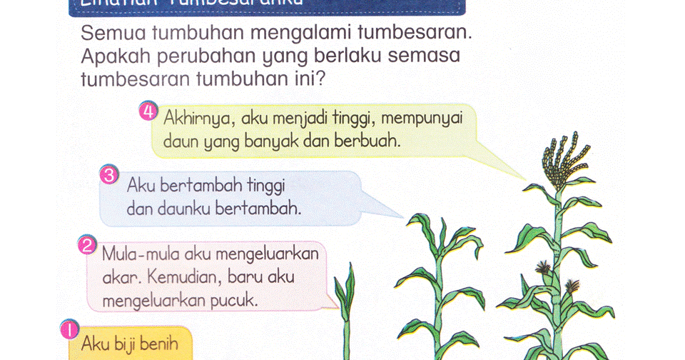 Dunia Sains dan Teknologi (Belajar dengan Ceria): DST 