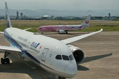 さくらジンベエさん羽田行きNH754とコラボ