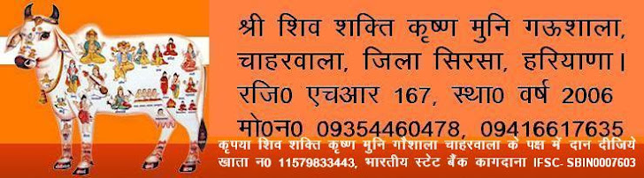 Shri Shiv Shakti Krishan Muni Goushala Chaharwala, Sirsa, Haryana