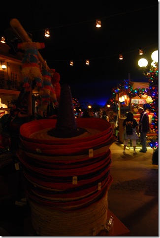 regn epcot 034