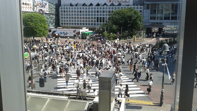 Cruce Shibuya, dónde verlo