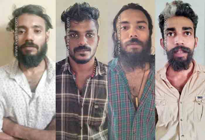Big ganja hunt in Kannur; 4 youths arrested, Kannur, News, Arrested, Drugs, Police, Kerala