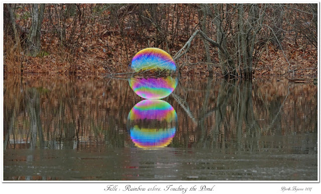 Fells: Rainbow colors. Touching the Pond.