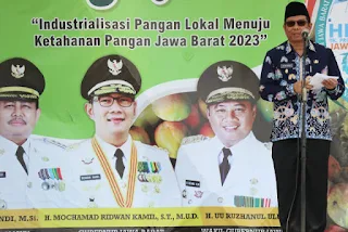 Padi,Mangga Dan Ikan Laut Jadi Komoditi Andalan  Kabupaten Indramayu