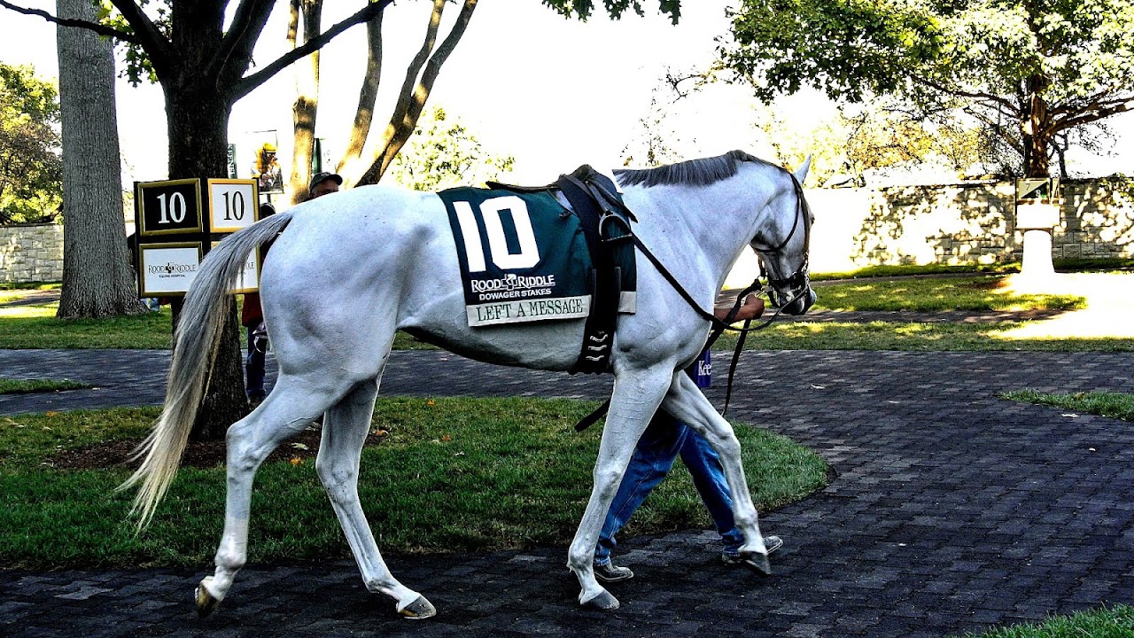 White horse (mythology) Grey