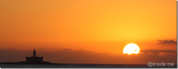 Bugio_por_sol
