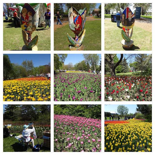 Festival de Tulipas em Ottawa (Canadá)!