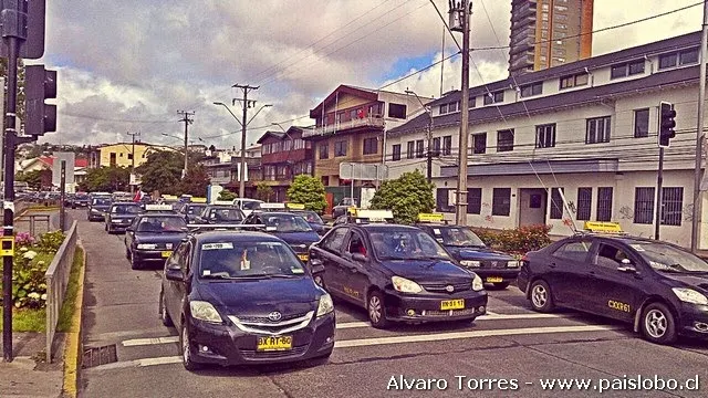 Piden ayudas económicas para taxis colectivos