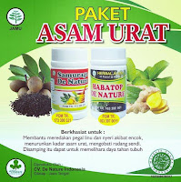 Obat Asam Urat Paling Laris Dan Ampuh Di Apotik