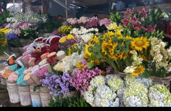 Rekomendasi Toko Karangan Bunga Jogja - Melayani Pesanan Karangan Bunga Terbaik di Jogja