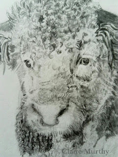 farm animal graphite sketch