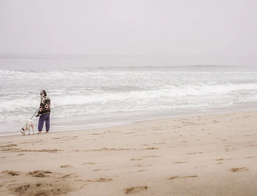 hombre-con-perro-en-la-playa