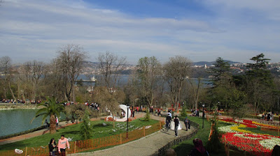 Emirgan Korusu