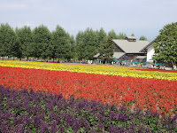 Furano