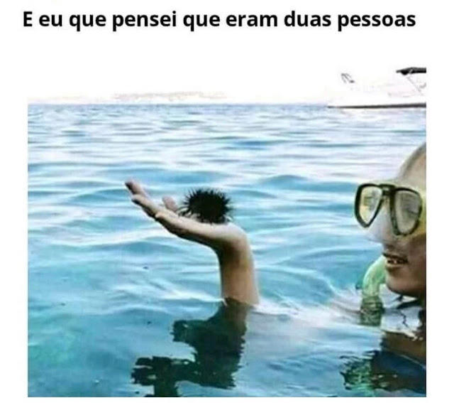 Memes engraçados