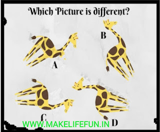 Picture puzzles with Answer for teens,Pictures Brain Teasers and Answers for teen and kid,Akbar Birbal puzzle,  Logic puzzles,Chatpati Paheliyan, english riddles, hindi riddles, Hindi Paheliyan with Answer, Hindi riddles, Paheliyan in Hindi with Answer, हिंदी पहेलियाँ उत्तर के साथ, Funny Paheli in Hindi with Answer, Saral Hindi Paheli with answers, Tough Hindi Paheliyan with Answer, Hindi Paheli, math riddles,fruit riddles, math paheli with Answer, math paheli, whatsapp paheli, whatsapp, riddles, Paheli in Hindi, Hindi paheliyan for kids, Math Riddles in Hindi For Kids, Paheliya in Hindi For Kids,  Mind Puzzle, genius puzzles, picture brain teasers and Answers, mathematic puzzle, tricky puzzle, amusing riddle, cool puzzles, different puzzles, nature paheliya, tree puzzle, hinden face puzzle Hindi paheliya with answer, english riddles, baccho ki dilchaps paheliya, WhatsUp puzzles, guess the emoji, coin puzzles explanation in hindi, english riddles in 2021, old song games, Superhit songs puzzles, science puzzle, education puzzle, IQ test questions, Gk current affairs question, what i m, story, jasusi Paheliyan,   Hindi Paheliyan with Answer, Hindi riddles, Paheliyan in Hindi with Answer, हिंदी पहेलियाँ उत्तर के साथ, Funny Paheli in Hindi with Answer, Saral Hindi Paheli with answers, Tough Hindi Paheliyan with Answer, Hindi Paheli, math riddles,fruit riddles, math paheli with Answer, math paheli, whatsapp paheli, whatsapp, statements riddles., story, court,