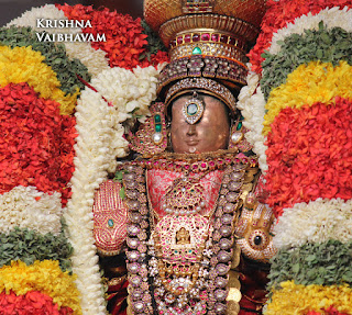 Aani,Suirya PRabhai, Purappadu , Vahanam,Sri Theliya Singar, Yoga Narasimhar,Brahmotsavam ,Purappadu,Video, Divya Prabhandam,Sri Parthasarathy Perumal, Triplicane,Thiruvallikeni,Utsavam,