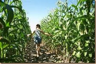Girl_Cornfield