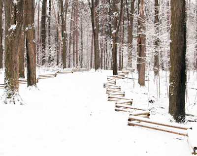 Outdoor Winter Activities in the Lansing Area