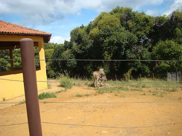 Zoo de Salvador