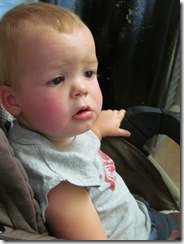 zoo 16 months 033