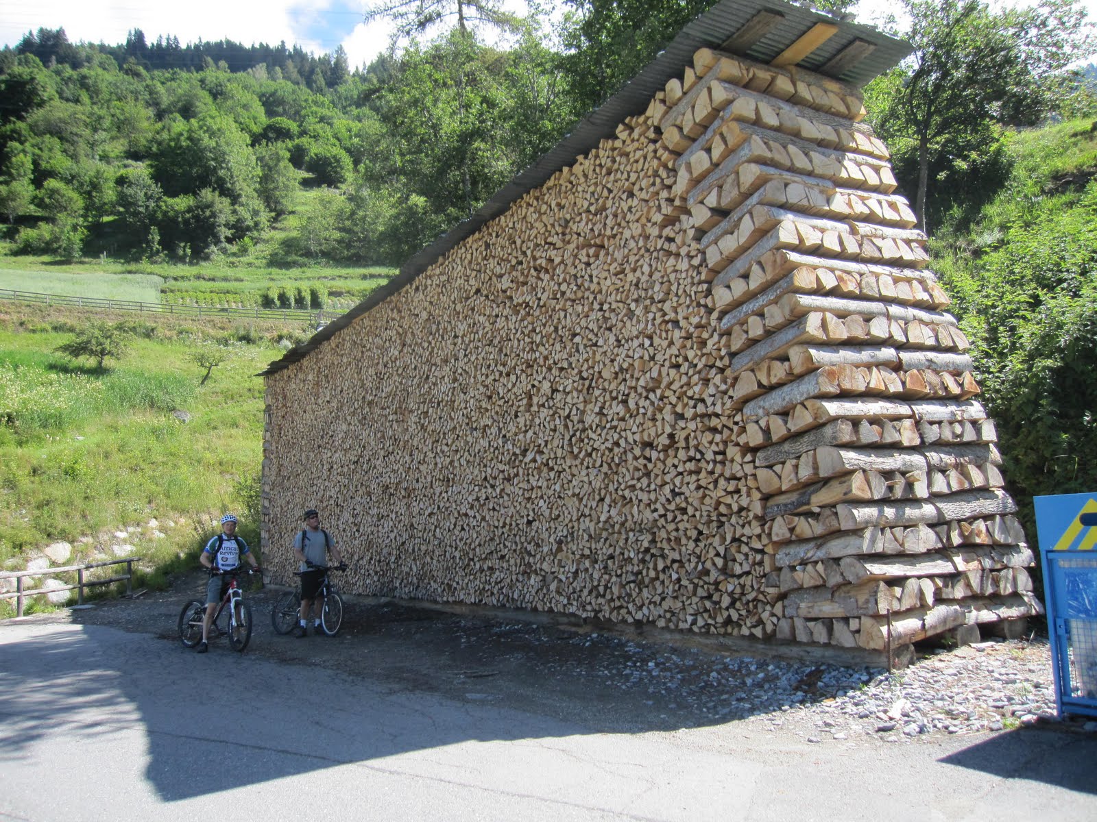 Final woodpile pron offerings Singletrack Magazine Forum