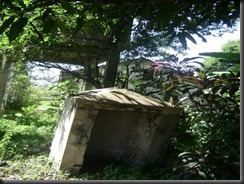 DSC00121_800x600