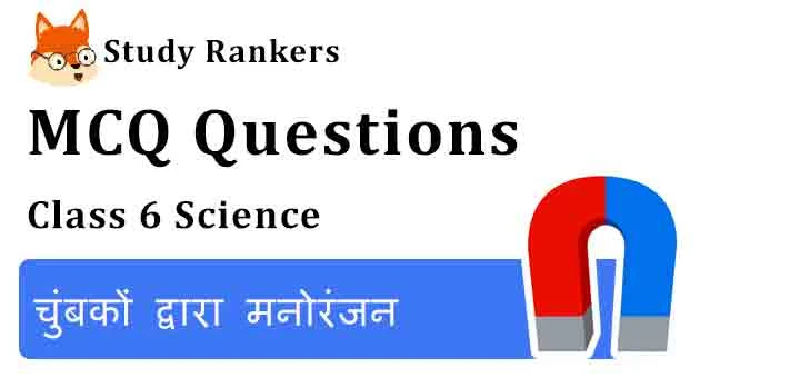 MCQ Questions for Class 6 Science Chapter 13 चुंबकों द्वारा मनोरंजन