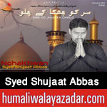 http://www.humaliwalayazadar.com/2015/09/syed-shujat-abbas-nohay-2016.html