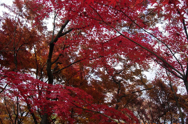 东福寺