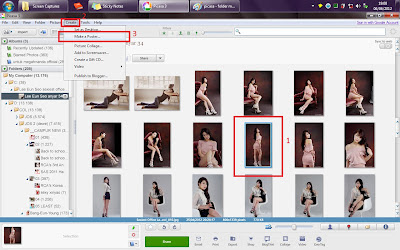 Cara Membuat Poster dengan Picasa