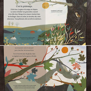 Au fil des saisons, un livre pour enfant sur la nature, l'hibernation en hiver, l'évolution de la végétation pour les écureuils. Editions Kimane