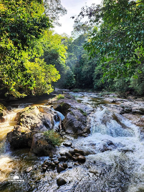 Sedim Rainforest Resort Hutan Lipur Sungai Sedim