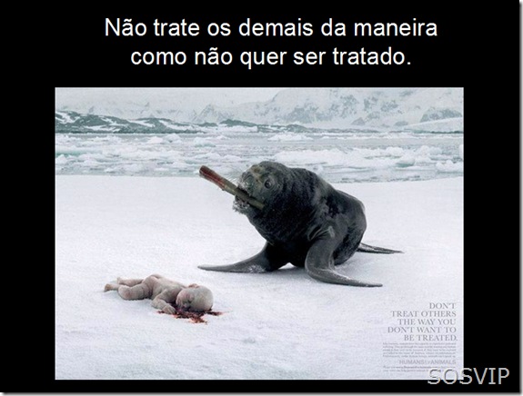 Campanha Publicitaria Conscientizacao (19)